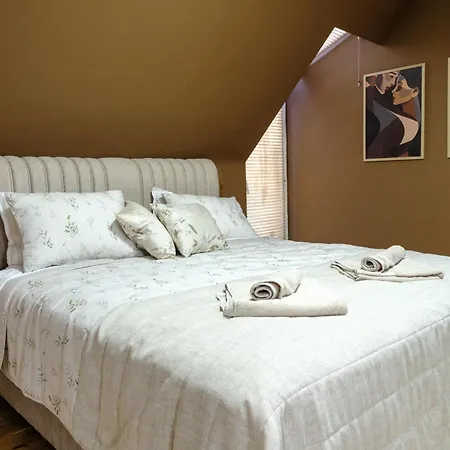 Cozy Loft With Jacuzzi Bath Near Center 公寓